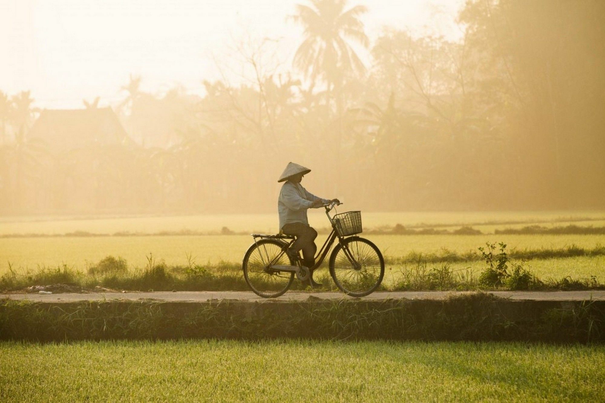 Hop Y Hoi An Homestay ภายนอก รูปภาพ